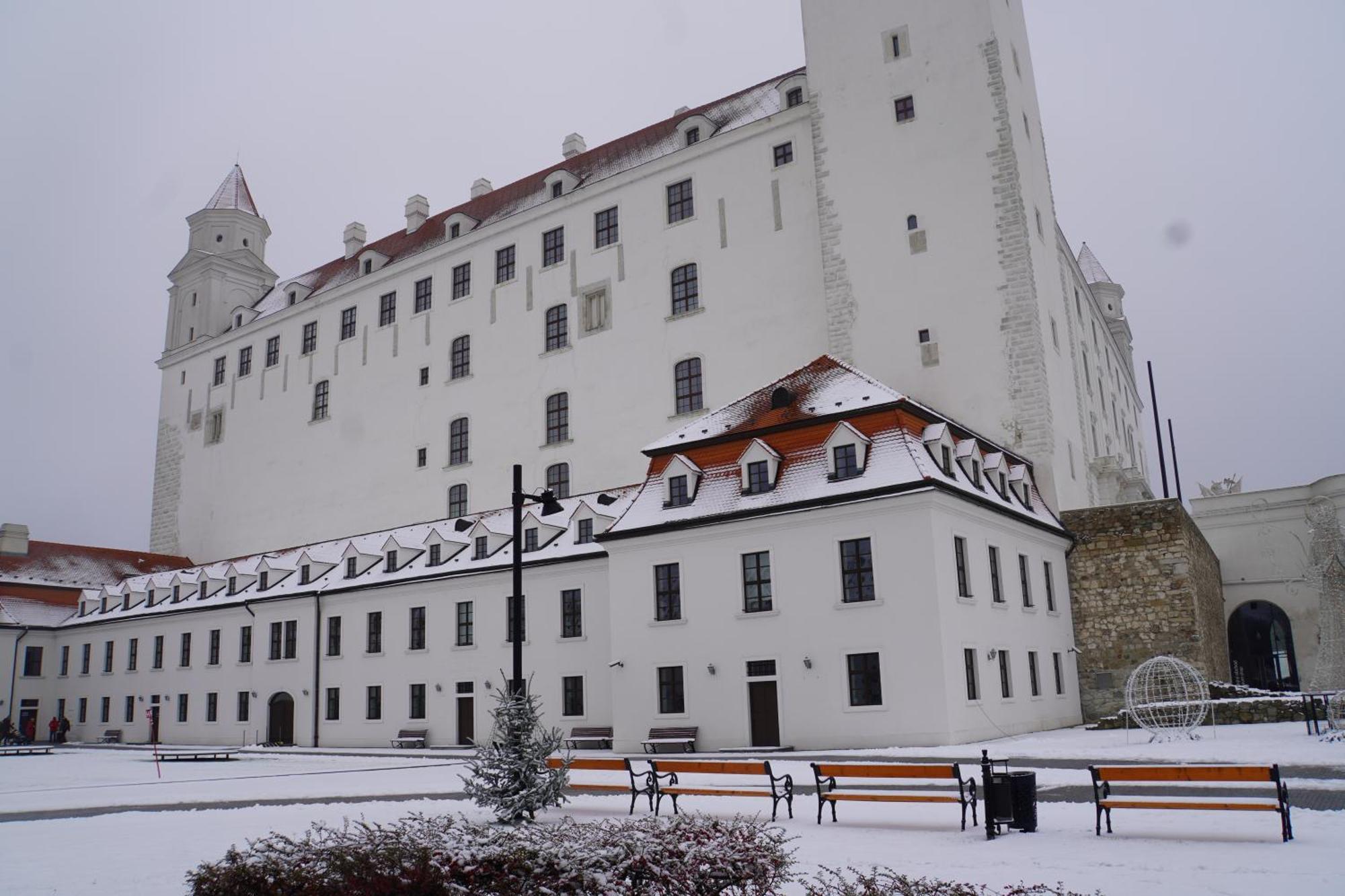Dominant Studio Hostel With Free Parking For Preregistered Drivers & Garage With Cctv Bratislava Exteriör bild